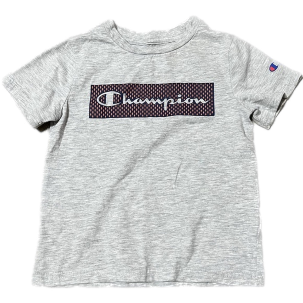 Champion Grey Boy Toddler T-Shirt (Sz 4t)
